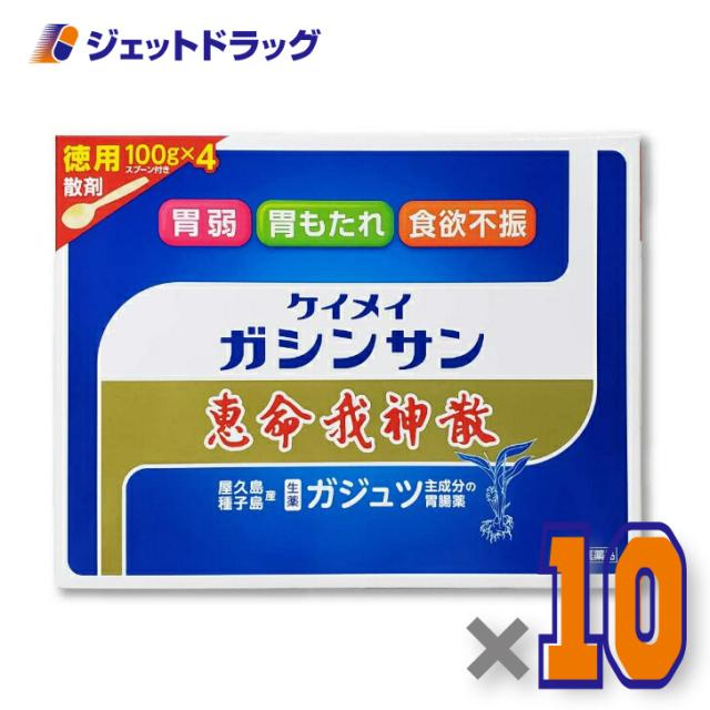 恵命我神散 100g 4袋入 ×10個 【第2類医薬品】