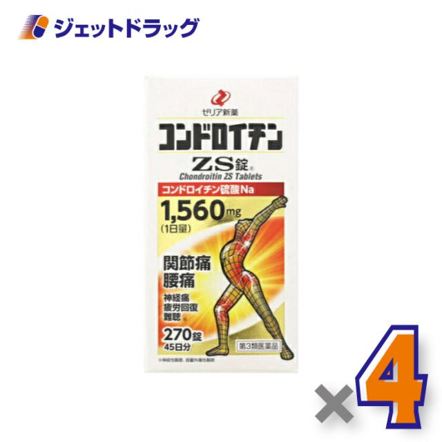 麗ページ ゼクストリーム2022.WINTER｜Z/X -Zillions of enemy X-