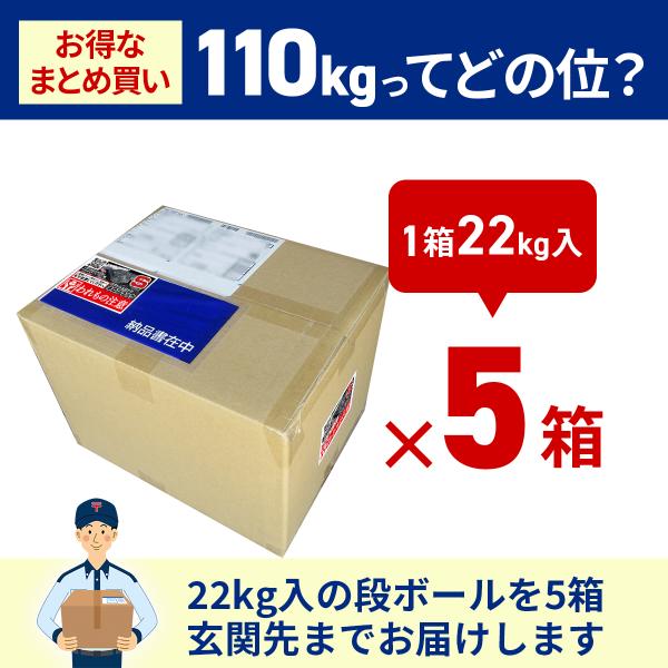 庭石 ロックガーデン 石 割栗石 黒 S 110kg (22kgx5箱) ガーデニング 石 乱形石 ガーデンロック 石 クラッシュロック ドライガーデン 石 栗石 みかも石_14
