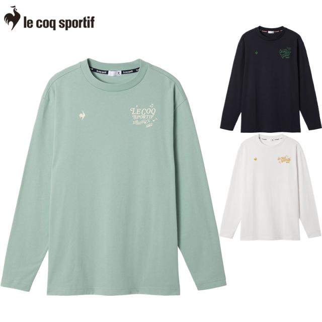 デサント メンズ グラフィック長袖Tシャツ アパレル カジュアル トップス 吸汗 運動 スポーツ ホワイト 白 ネイビー ブルー 青 送料無料 DESCENTE LT5FLT01M