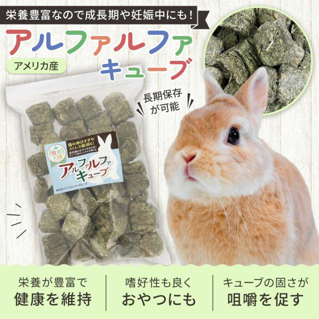 うさぎ牧草 ウサギ アルファルファ キューブ 牧草 3kg うさぎ 牧草王国