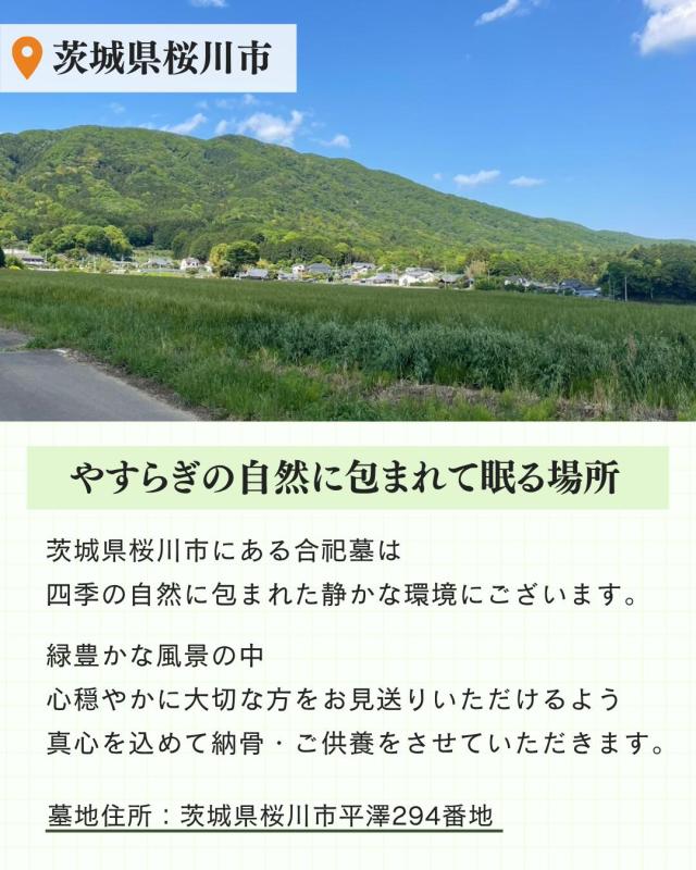 永代供養 墓じまい 合祀 供養 独身 単身 独り身 ひとり 終活 宗教 宗派 不問 茨城県 初期費用のみ 後継人不要 管理費不要 維持費不要 追加料金なし 永遠 埋蔵 遺骨 散骨 自宅供養 先祖 命日