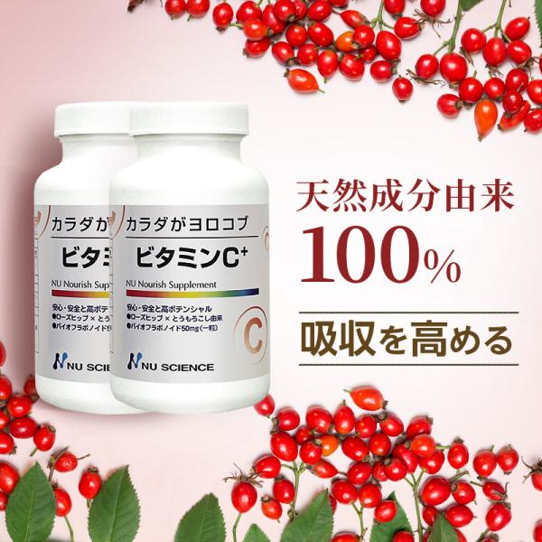 ニューサイエンス ビタミンC+ ビタミンC 180粒×2個 サプリメント サプリ オーガニック村 天然 ローズヒップ ビタミン剤 ビタミンb ビタミンd クエン酸