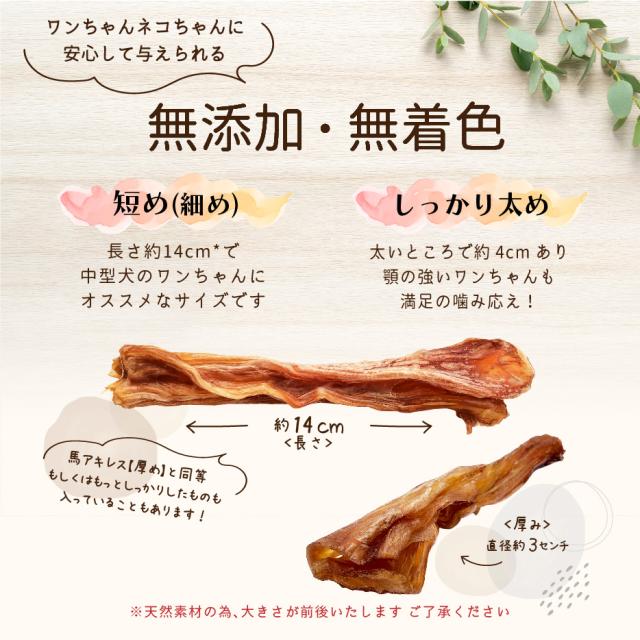 馬アキレス ショート 厚め 400g 約15〜17本程度 l 国内生産 無添加 無着色 l 犬 おやつ ジャーキー 馬アキレス腱 太い 厚 太 小型犬 中型犬 ドライ 馬 アキレス アキレス腱 馬肉 ドッグフード 歯みがき ご褒美 ペットレア l 1〜３営業日で発送予定_2