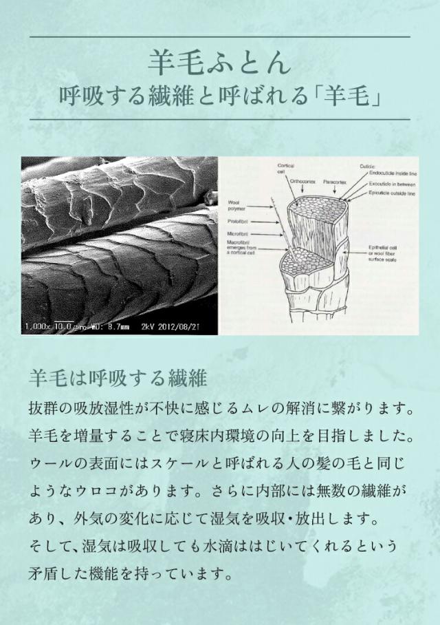 【レビュー特典付 枕カバー】極厚多重層 羊毛 敷布団 マルハチ 丸八布団 丸八真綿 3層 ライト シングル 布団 マット ベッド 敷き 敷き布団 除湿 袋 腰 羊毛敷布団 しきふとん ホテル 旅館 愛用 厚い 厚手 おすすめ 人気 大人気 寝具 ふかふか 厚め 羊毛敷き布団 丸八 受発注_11