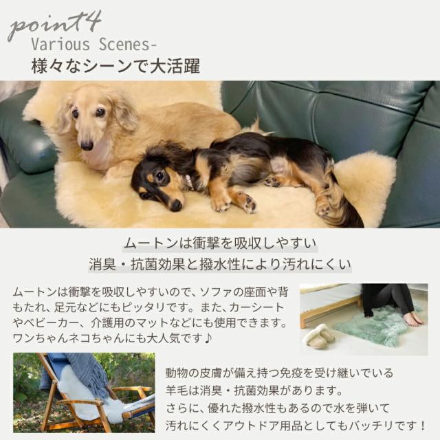 【アウトレット価格】洗えるムートンラグ 6匹 短毛 約140×160cm 敷物 クッション 毛皮 ムートン ラグ マット ソファー ニュージーランド原皮 洗える 家庭洗濯 ウォッシャブル キャンプ アウトドア ペット 送料無料 おしゃれ プレゼント 新生活 ベビー_12