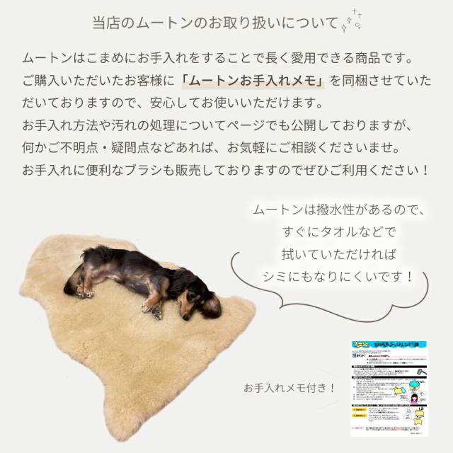 【アウトレット価格】洗えるムートンラグ 6匹 短毛 約140×160cm 敷物 クッション 毛皮 ムートン ラグ マット ソファー ニュージーランド原皮 洗える 家庭洗濯 ウォッシャブル キャンプ アウトドア ペット 送料無料 おしゃれ プレゼント 新生活 ベビー_14
