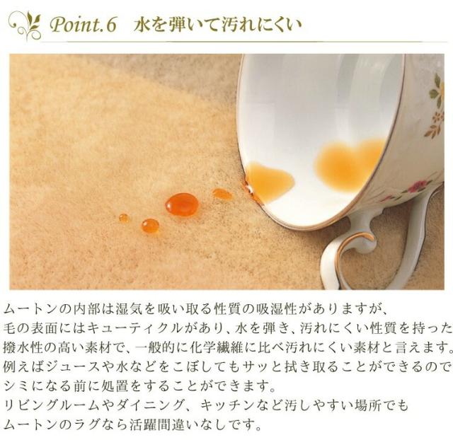 【 アウトレット価格 】《丸洗いOK》洗えるスプリングラム 2匹サイズ グレー キャンプ 送料無料 ニュージーランド産 天然 敷物 シープスキン 長毛 ムートン ラグ アウトドア おしゃれ かわいい 洗濯可能 ウォッシャブル ギフト プレゼント ベビー 毛皮 マット ソファ