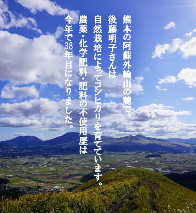 【無農薬・無化学肥料・除草剤不使用】 玄米 令和7年度米 コシヒカリ 30kg 熊本県産 阿蘇山麓の後藤明子自然栽培農園 自然栽培米 複数原料米(ブレンド米）ではなくて コシヒカリのみの単一原料米 精米改良剤(プラスチック米)一切不使用 なので安心して食べられる_4