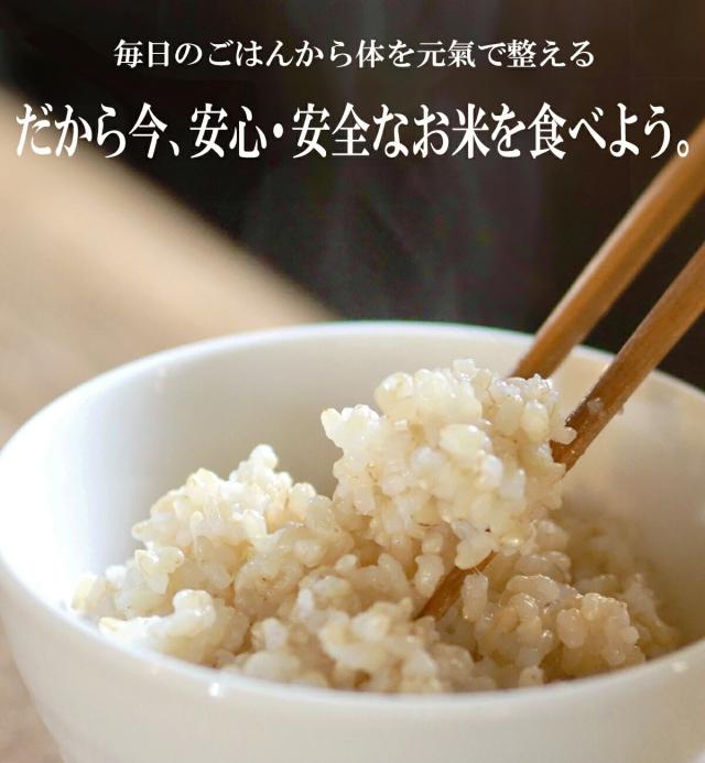 【無農薬・無化学肥料・除草剤不使用】 玄米 令和7年度米 コシヒカリ 30kg 熊本県産 阿蘇山麓の後藤明子自然栽培農園 自然栽培米 複数原料米(ブレンド米）ではなくて コシヒカリのみの単一原料米 精米改良剤(プラスチック米)一切不使用 なので安心して食べられる_6