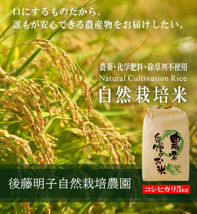 【無農薬・無化学肥料・除草剤不使用】 玄米 令和7年度米 コシヒカリ 30kg 熊本県産 阿蘇山麓の後藤明子自然栽培農園 自然栽培米 複数原料米(ブレンド米）ではなくて コシヒカリのみの単一原料米 精米改良剤(プラスチック米)一切不使用 なので安心して食べられる_2