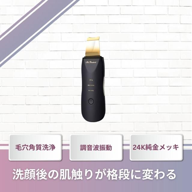 The Beautools 美容器 ブラック The beautools / 美顔器 The Beautools