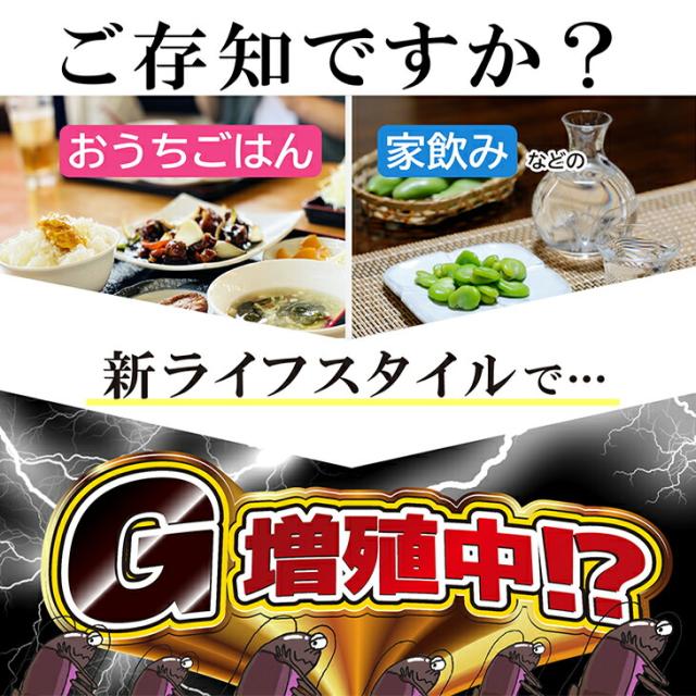 (あす着)(ゴキブリ駆除剤)(業務用)医薬部外品 ゴキちゃん グッバイプラス 6個入り×40袋(計240個) - ゴキブリ一家掃滅!プロの経験が生んだ家庭用サイズの本格派!連鎖効果でゴキブリ完全撃退!！(送料無料)_2