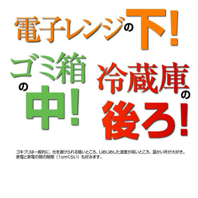 (あす着)(ゴキブリ駆除剤)(業務用)医薬部外品 ゴキちゃん グッバイプラス 6個入り×40袋(計240個) - ゴキブリ一家掃滅!プロの経験が生んだ家庭用サイズの本格派!連鎖効果でゴキブリ完全撃退!！(送料無料)_7