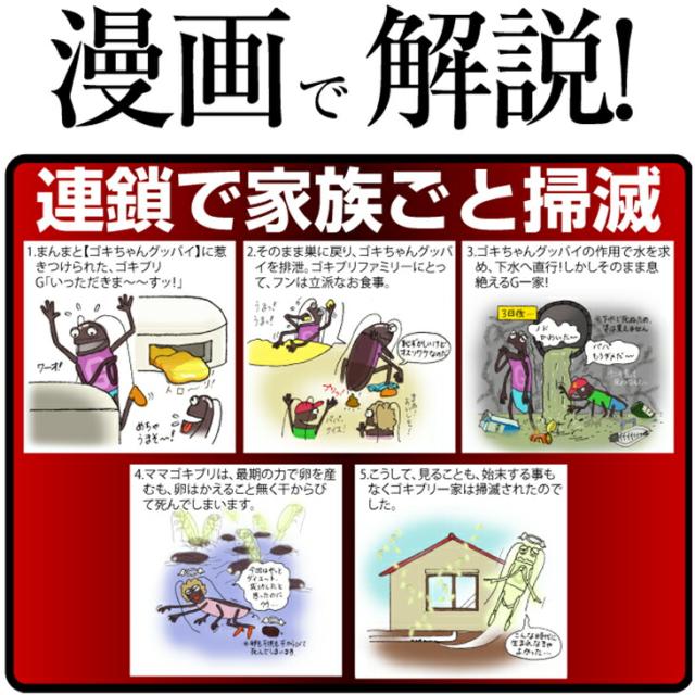 (あす着)(ゴキブリ駆除剤)(業務用)医薬部外品 ゴキちゃん グッバイプラス 6個入り×40袋(計240個) - ゴキブリ一家掃滅!プロの経験が生んだ家庭用サイズの本格派!連鎖効果でゴキブリ完全撃退!！(送料無料)_9