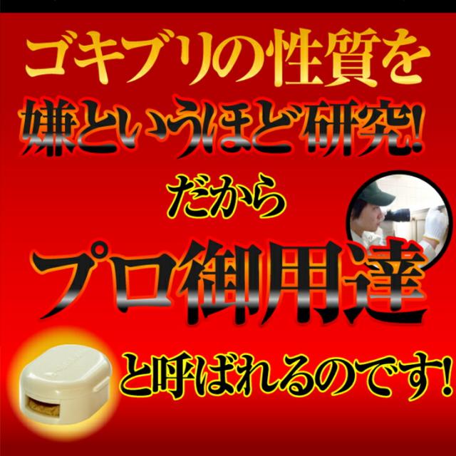 (あす着)(ゴキブリ駆除剤)(業務用)医薬部外品 ゴキちゃん グッバイプラス 6個入り×40袋(計240個) - ゴキブリ一家掃滅!プロの経験が生んだ家庭用サイズの本格派!連鎖効果でゴキブリ完全撃退!！(送料無料)_12