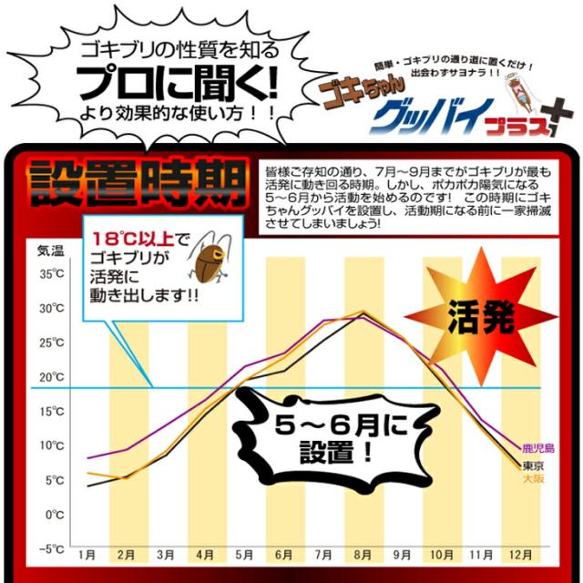 (あす着)(ゴキブリ駆除剤)(業務用)医薬部外品 ゴキちゃん グッバイプラス 6個入り×40袋(計240個) - ゴキブリ一家掃滅!プロの経験が生んだ家庭用サイズの本格派!連鎖効果でゴキブリ完全撃退!！(送料無料)_13