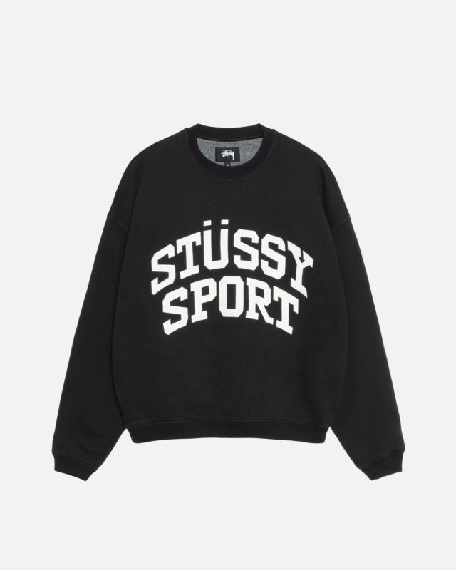 STUSSY ステューシー STUSSY BIG CRACKLE SPORT CREW