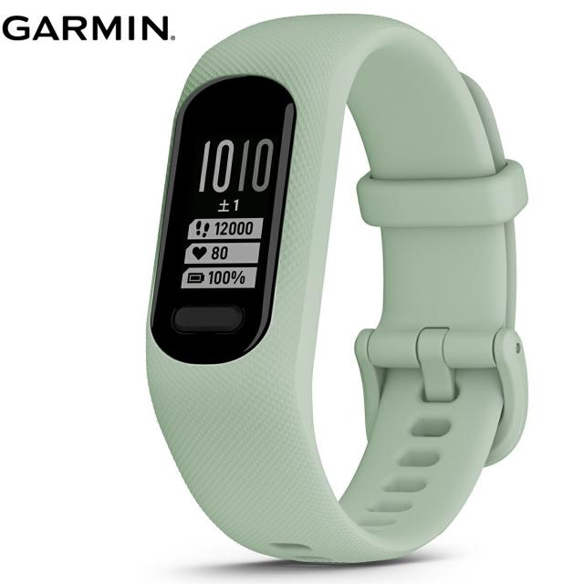 ガーミン GARMIN vivosmart 5 ヴィヴォスマート5 GPS スマートウォッチ ライフログ アクティビティトラッカー 腕時計 メンズ レディース Mint S/M 010-02645-62
