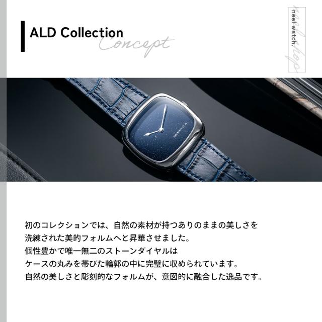 デニソン DENNISON 腕時計 メンズ レディース ALD Collection ミッドナイトアベンチュリン スチール ALD-S-ST04-NVY-R-SBKL_2