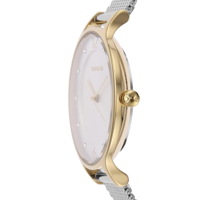 スカーゲン SKAGEN ウオッチ レディース ANITA LILLE ツートーン スチールメッシュウォッチ SKW2340