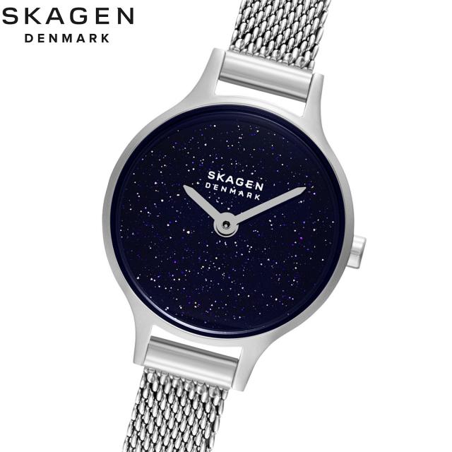 スカーゲン Skagen 腕時計 SKAGEN ブルーシェル星空文字盤 グレー