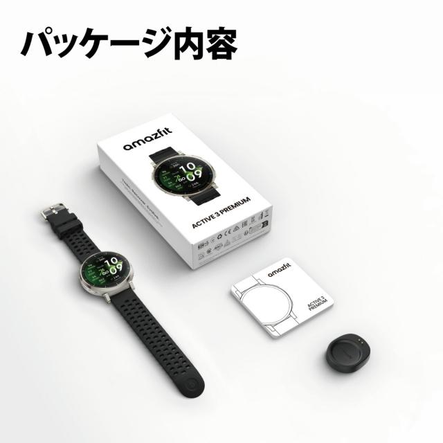 ゲーム ウィザードリィ ディンギル 帯付 公式ガイドブック 迷宮聖典
