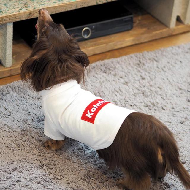 バナーペアTシャツ XXL-3XLサイズ 犬 飼い主 ペアルック 送料無料 ペットとお揃い ペット 愛犬とお揃い 犬と名入れ 名前入り 名入り 名前入り 犬の服 Tシャツ 春 半袖 おしゃれ 服 好き プレゼント 女性 男性 誕生日 還暦 小型中型楽天_2