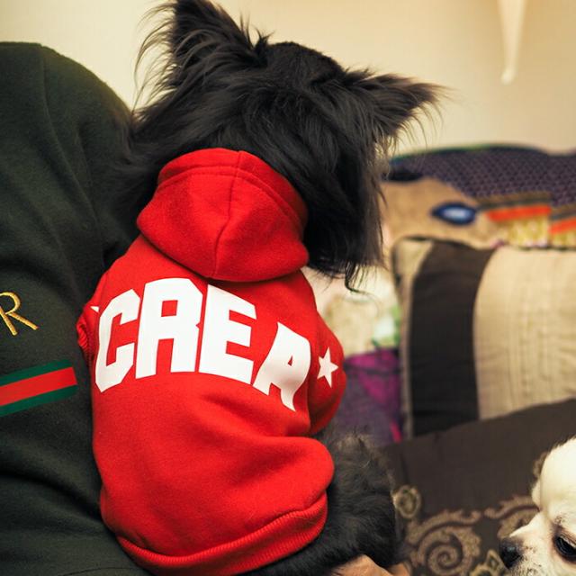 ビッグロゴペアパーカー 犬 飼い主 ペアルック 送料無料 ペットとお揃い ペット 愛犬とお揃い 犬と名入れ 名前入り 名入り 名前入り 犬の服 フーディ— パーカー 冬 長袖 おしゃれ かわいい 服 好き プレゼント 女性 男性 誕生日 還暦 小型中型犬_3