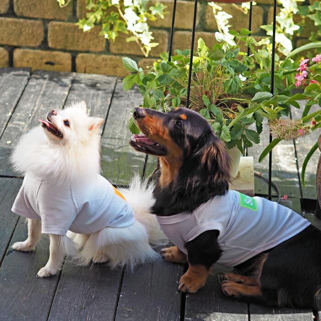 バナーペアTシャツ XXL-3XLサイズ 犬 飼い主 ペアルック 送料無料 ペットとお揃い ペット 愛犬とお揃い 犬と名入れ 名前入り 名入り 名前入り 犬の服 Tシャツ 春 半袖 おしゃれ 服 好き プレゼント 女性 男性 誕生日 還暦 小型中型楽天_10