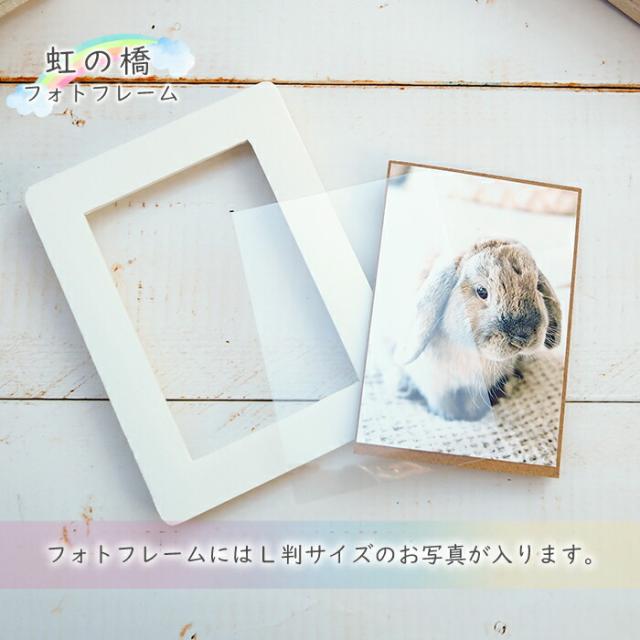 送料無料 《虹の橋フォトフレーム》 ソープフラワー ペット お供え お供え花 仏花 虹の橋 レインボー メモリアルグッズ 供養 花 犬 猫 うさぎ 名入れ 名前入り 命日 シャボンフラワー 写真立て L判 枯れない_11