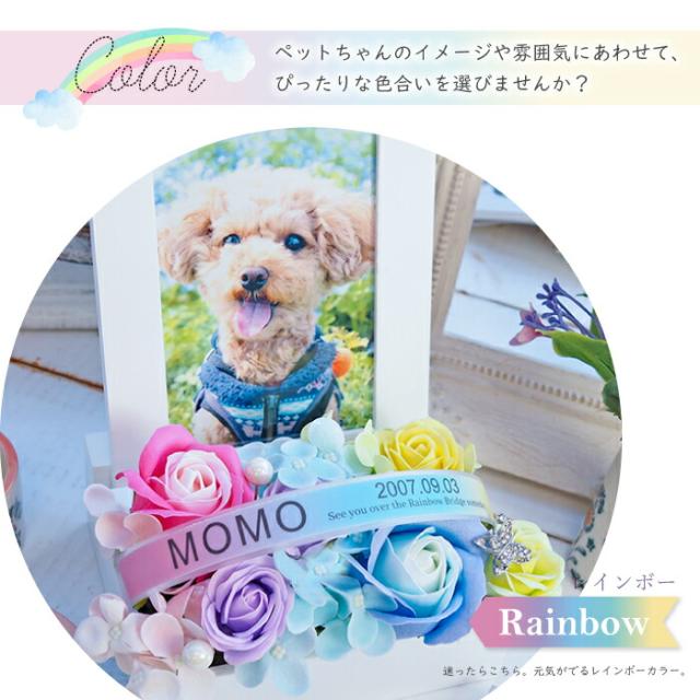 送料無料 《虹の橋フォトフレーム》 ソープフラワー ペット お供え お供え花 仏花 虹の橋 レインボー メモリアルグッズ 供養 花 犬 猫 うさぎ 名入れ 名前入り 命日 シャボンフラワー 写真立て L判 枯れない_5