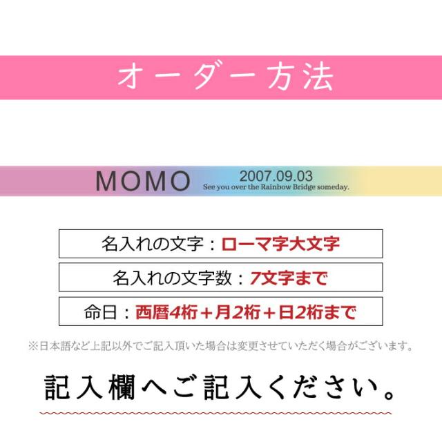 送料無料 《虹の橋フォトフレーム おうち》 ソープフラワー ペット お供え お供え花 仏花 虹の橋 レインボー メモリアルグッズ 供養 花 犬 猫 うさぎ 名入れ 名前入り 命日 シャボンフラワー 写真立て L判 枯れない 壁掛け_11