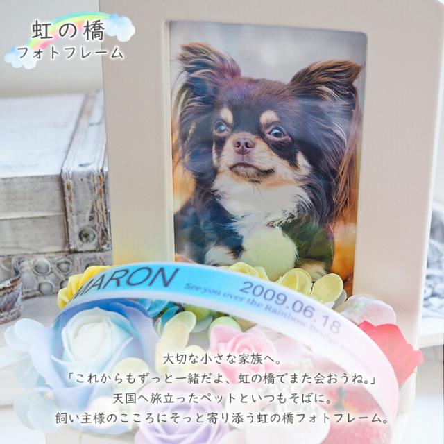 送料無料 《虹の橋フォトフレーム おうち》 ソープフラワー ペット お供え お供え花 仏花 虹の橋 レインボー メモリアルグッズ 供養 花 犬 猫 うさぎ 名入れ 名前入り 命日 シャボンフラワー 写真立て L判 枯れない 壁掛け_1