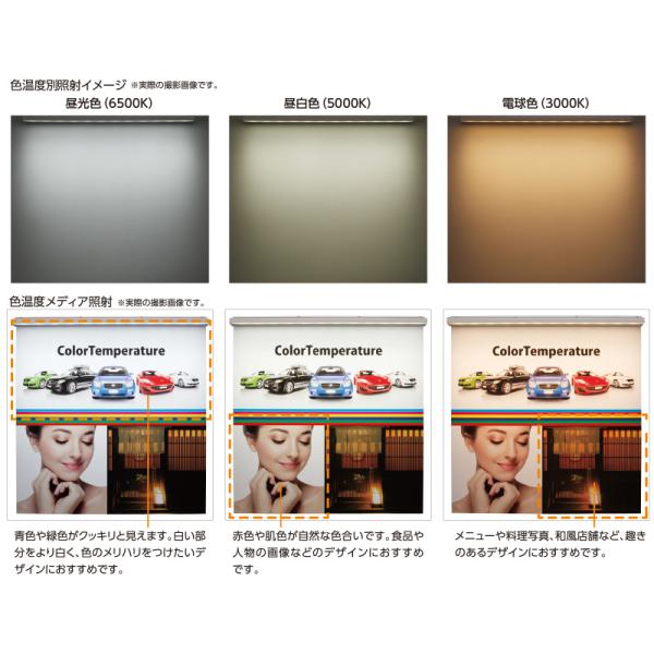 看板照明 屋外 LED 外照式 看板灯 アドビューN R70タイプ W1200 (D) 昼光色6500K タテヤマアドバンス 看板 店舗 照明器具_2