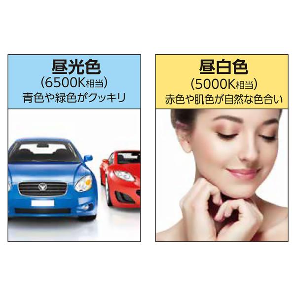 看板照明 屋外 LED 外照式 看板灯 アドビューL2 W1200 (D) 昼光色6500K タテヤマアドバンス 看板 店舗 駐車場 照明器具