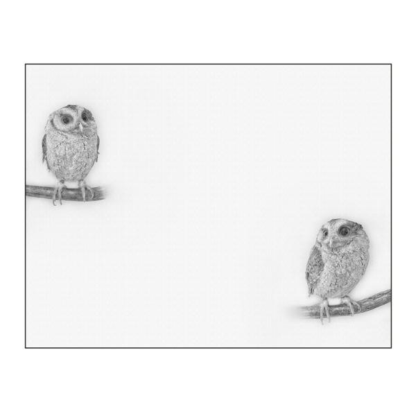 キャンバスアート インテリア 動物 おしゃれ 壁掛け CANVAS Sketch ふくろう F12 No.43202