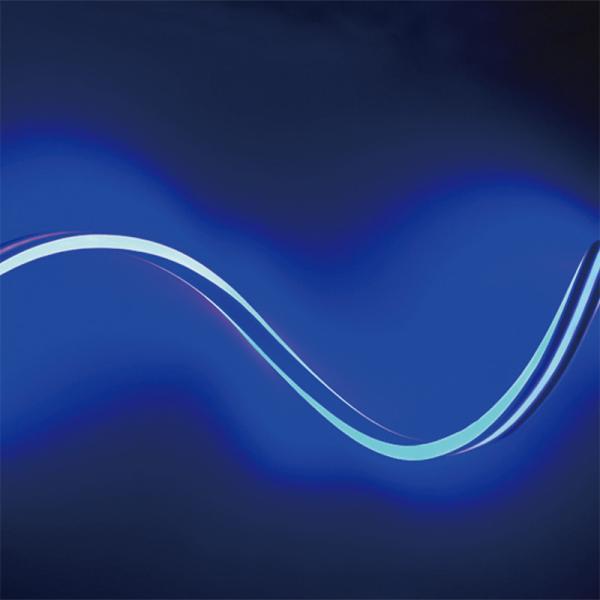 LEDテープライト イルミネーション 屋外 LEDフレキシネオンダブルライト ブルー 56924BLU
