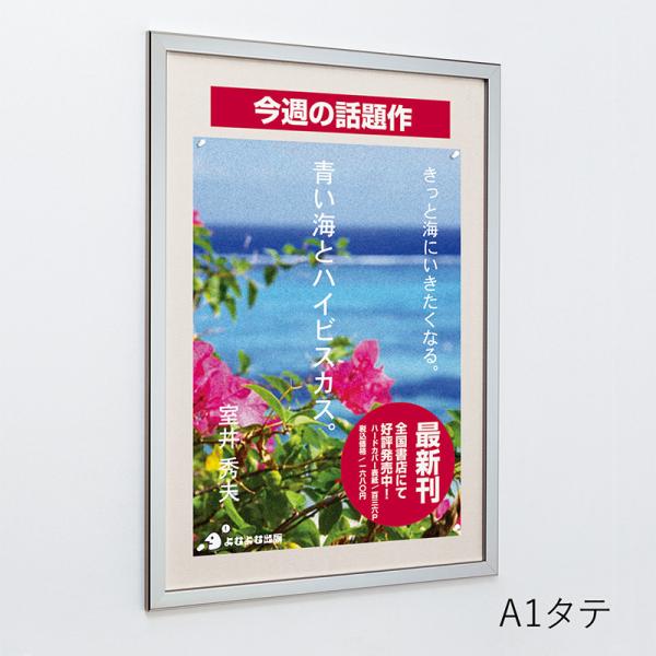掲示板 おしゃれ 壁 壁付け アルモード 掲示ボード 612 ステン 屋内用 2100×900 掲示シート仕様 612S 2100×900_4