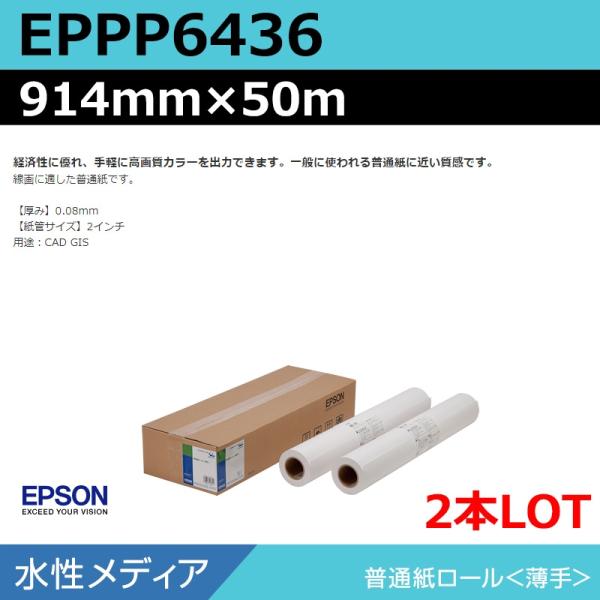 インクジェットロール紙 大判プリンター用紙 エプソン 純正 EPPP6436 普通紙ロール 914mm×50m（2本）プロッター用紙