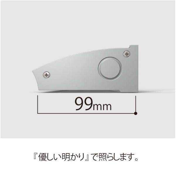 看板照明 屋外 LED 外照式 看板灯 アドビューC W900 昼光色6500K ブラック タテヤマアドバンス 看板 店舗 駐車場 照明器具_5