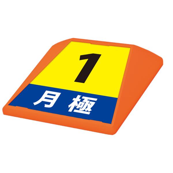 駐車場 看板 路面表示 路面標識 タートイズ オレンジ 表示面セット G-GT-001-O_006 月極_1