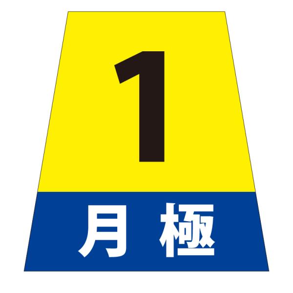 駐車場 看板 路面表示 路面標識 タートイズ オレンジ 表示面セット G-GT-001-O_006 月極_1_1