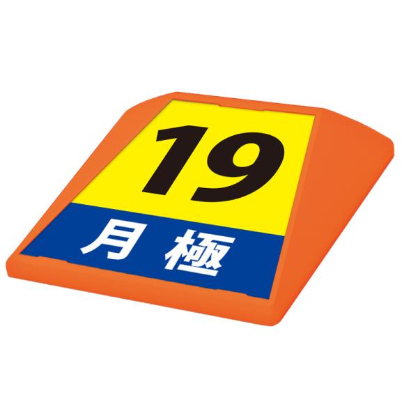 駐車場 看板 路面表示 路面標識 タートイズ オレンジ 表示面セット G-GT-001-O_024 月極_19