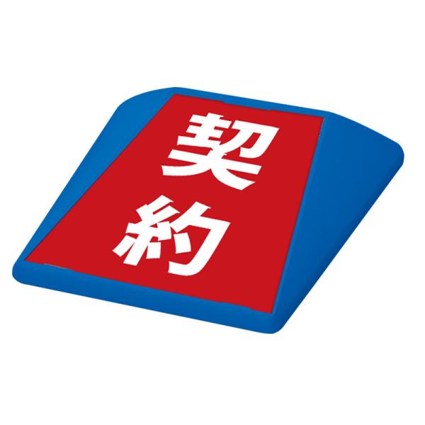 看板　路面看板 駐車場 看板 路面表示 路面標識 タートイズ ブルー 表示面セット G-GT