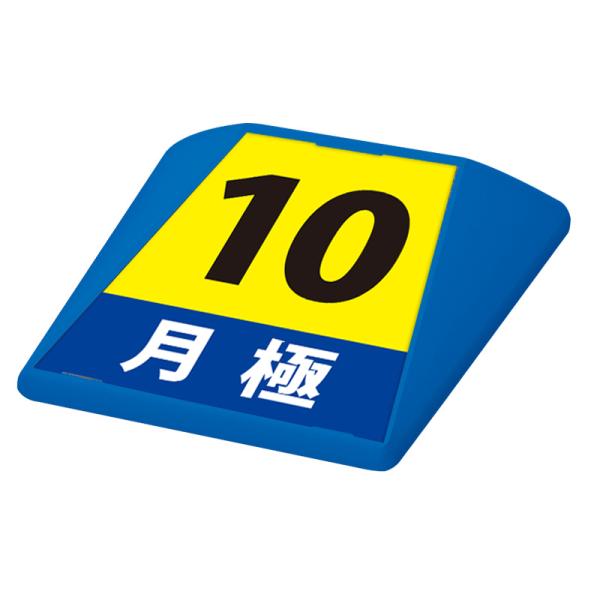 駐車場 看板 路面表示 路面標識 タートイズ ブルー 表示面セット G-GT-001-B_015 月極_10