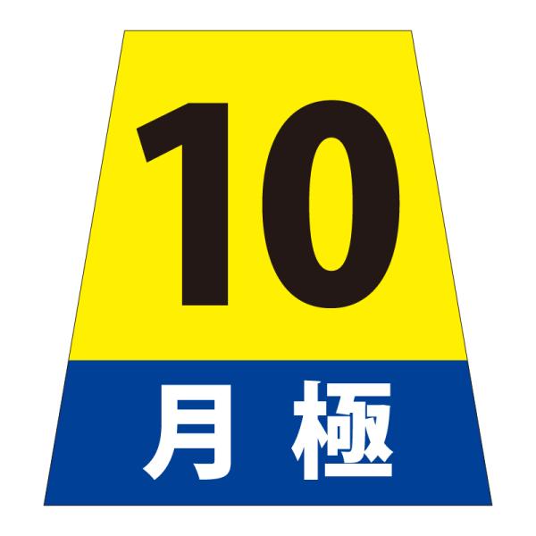 駐車場 看板 路面表示 路面標識 タートイズ ブルー 表示面セット G-GT-001-B_015 月極_10_1