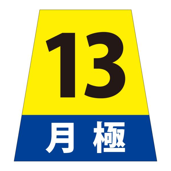 駐車場 看板 路面表示 路面標識 タートイズ ブルー 表示面セット G-GT-001-B_018 月極_13_1