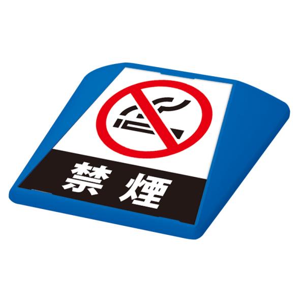 看板　路面看板 駐車場 看板 路面表示 路面標識 タートイズ ブルー 表示面セット G-GT