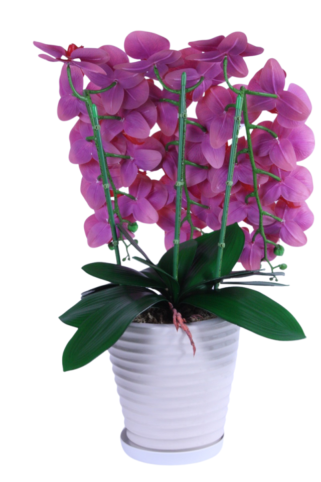 光触媒　人工観葉植物　ウォールグリーン　フェイクグリーン　レッドエレガンス 光触媒 人工観葉植物 ウォールグリーン フェイクグリーン エレガンス